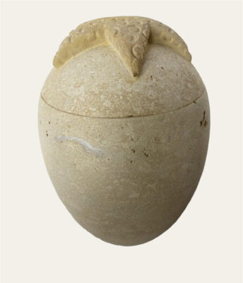 Bio 1 estrella Bio 1 estrella